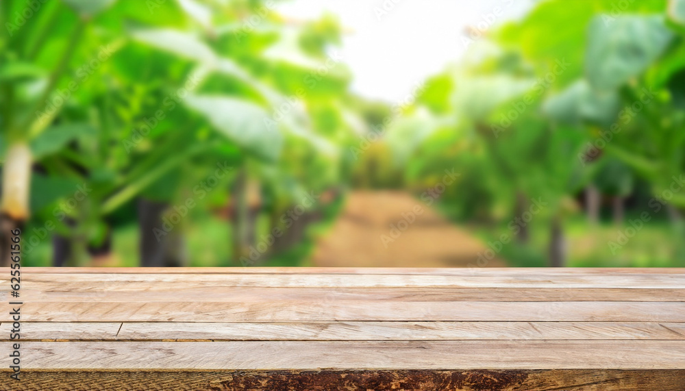 Wooden table top on blur plant vegetable or fruit organic farm background. For place food, drink or health care business. Fresh landscape and relax season concept. View of copy space. Wooden table top on blur plant vegetable or fruit organic farm background. For place food, drink or health care business. Fresh landscape and relax season concept. View of copy space.