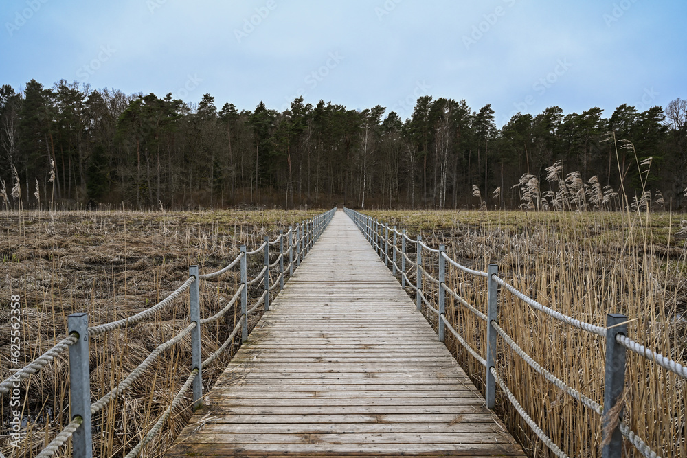 A wooden bridge across the swamp leading towards forest