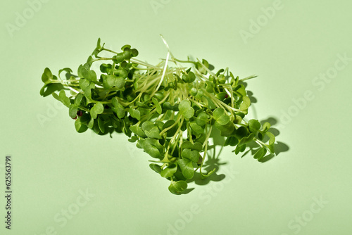 Homegrown green broccoli sprouts or microgreens