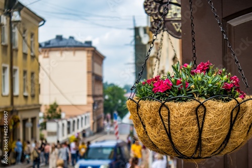 Fototapeta Naklejka Na Ścianę i Meble -  street in the town