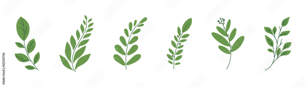 Vector Leaf. Green Leaves elements. Leaf. Leaves. Wedding Invitation or greeting card. Illustration for design Vector Leaf. Green Leaves elements. Leaf. Leaves. Wedding Invitation or greeting card. Illustration for design