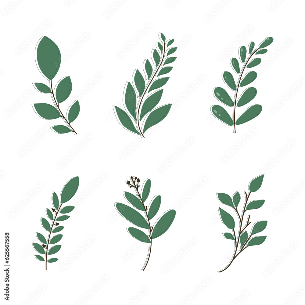 Vector Leaf. Green Leaves elements. Leaf. Leaves. Wedding Invitation or greeting card. Illustration for design