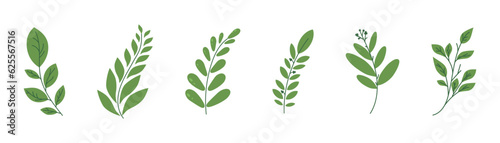 Vector Leaf. Green Leaves elements. Leaf. Leaves. Wedding Invitation or greeting card. Illustration for design