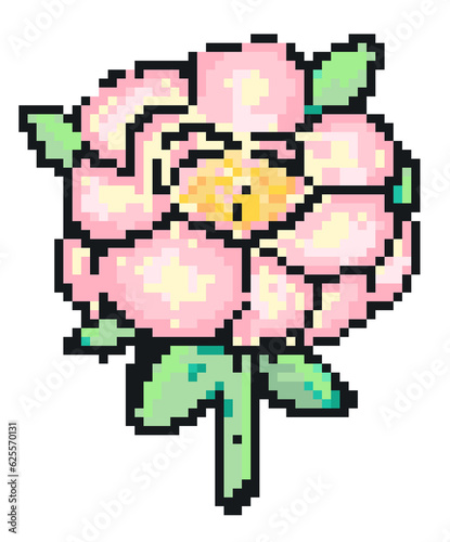 Peony rose Pixel art hand drawn illustration