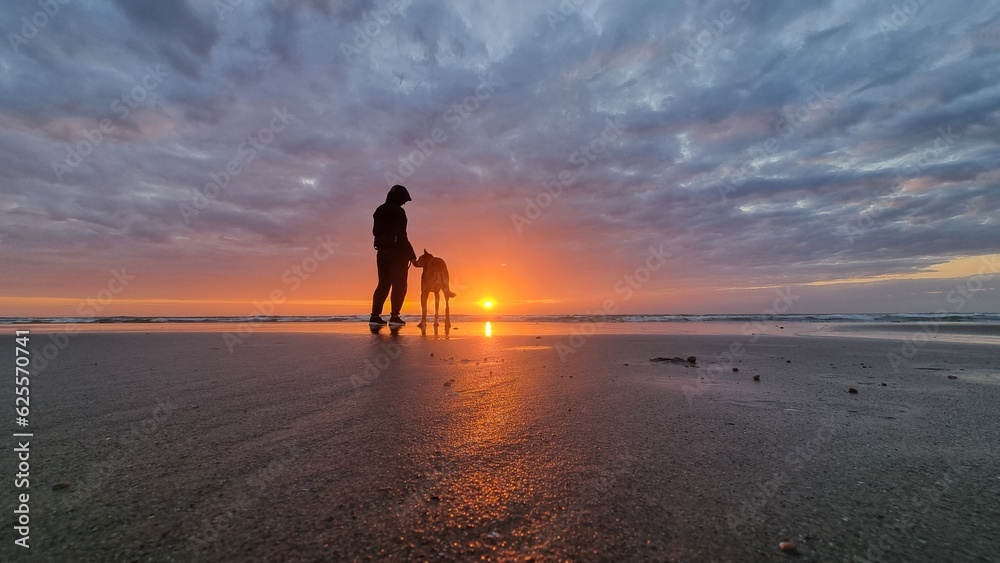Sunset on the beach with dog