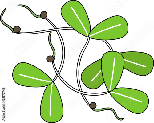 Alfalfa Illustration
