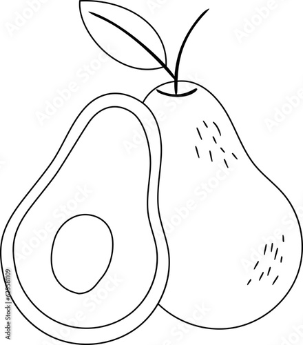 Avocado Outline Illustration