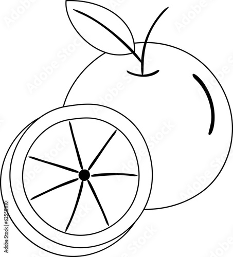 Orange Outline Illustration