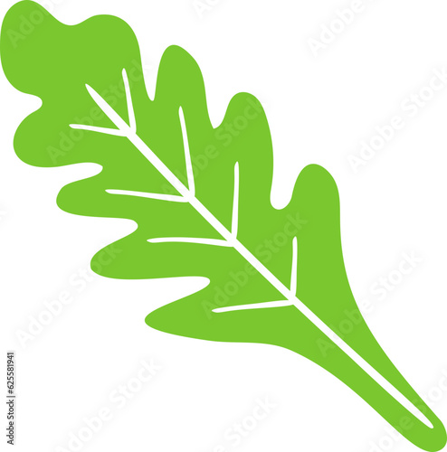 Arugula Flat Style Illustration