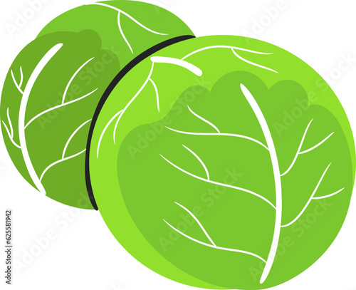 Brussel Flat Style Illustration