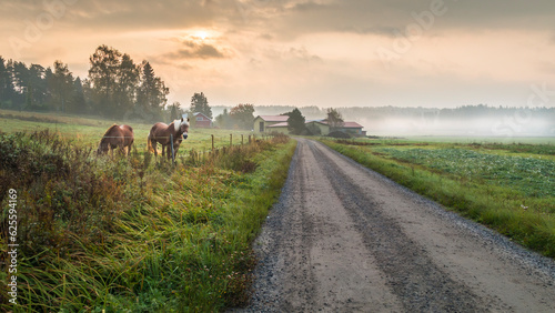 Countryside landscape with horses