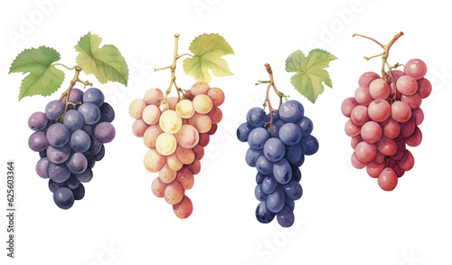 Grapes with grape leaf - 1