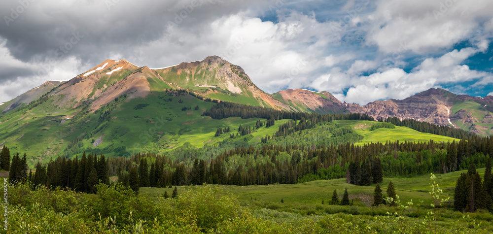 Summer at Mt Bellview Near Crested Butte Colorado