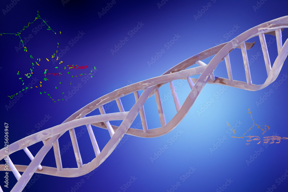 DNA. Illustration of the molecular structure of DNA strands of human ...