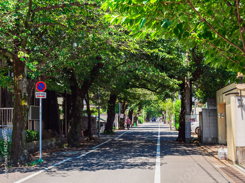 閑静な住宅街　成城 photo