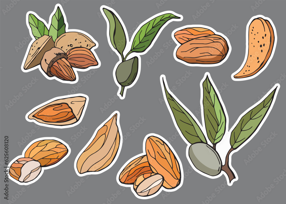 Almond sticker set. Almond sticker set.