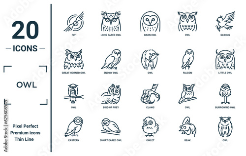 owl linear icon set. includes thin line fly, great horned owl, owl, eastern, burrowing icons for report, presentation, diagram, web design