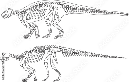 dinosaur skelenton bone illustration with hand draw cartoon style black and white