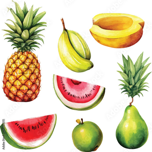 Watercolor hand painted fruit set pineapple, banana, pomegranate, mango, cherry, watermelon and tropical fruits on white background.