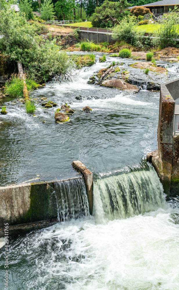 Obraz premium Small Waterfall Detail 2