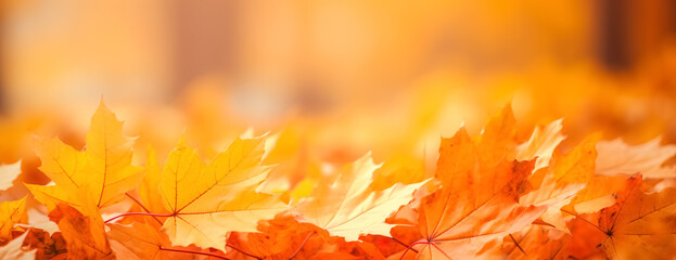  Beautiful autumn landscape with yellow leaves and sun. Colorful foliage in the park. Falling leaves natural background. digital ai