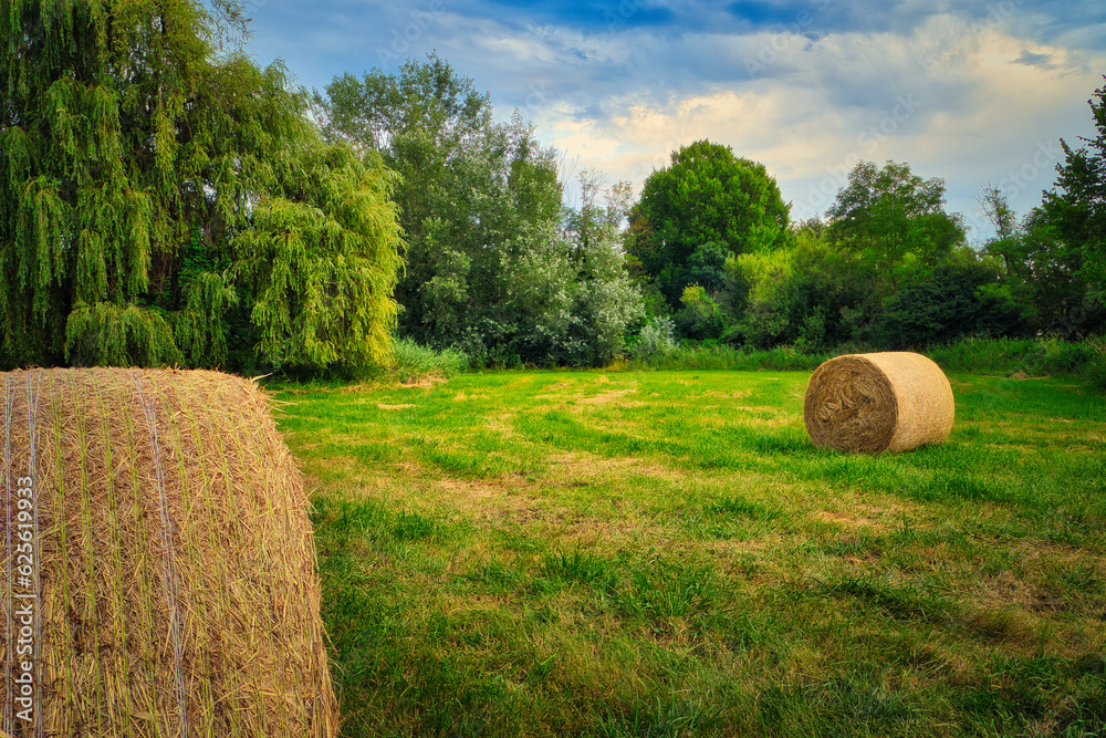 bales of hay - field - harvest - summer - straw - farmland - blue cloudy sky - golden - beautiful - freshly - countryside - haystacks - harvesting - background
