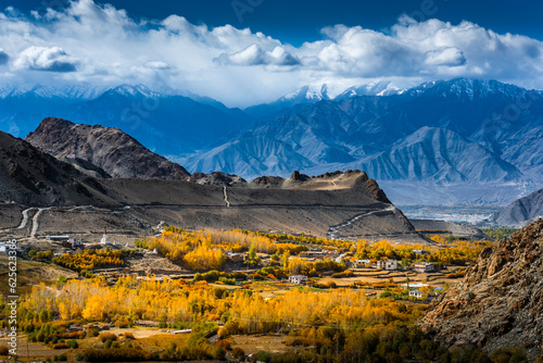 village in leh autumn leaves The backdrop is the Himalayas.