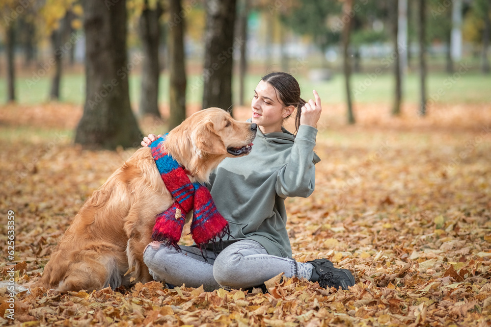 Portrait of a beautiful dark-haired girl with a golden retriever in the autumn park.