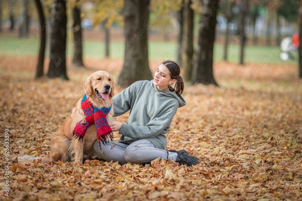 Portrait of a beautiful dark-haired girl with a golden retriever in the autumn park. Portrait of a beautiful dark-haired girl with a golden retriever in the autumn park.