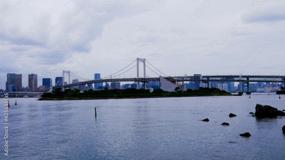 Vue générale de l'ensemble de la ville de Tokyo, avec pont traversant un fleuve, un peu dans une zone forestière et côtière, sous un ciel nuageux, menaçant et pluvieux, construction urbaine