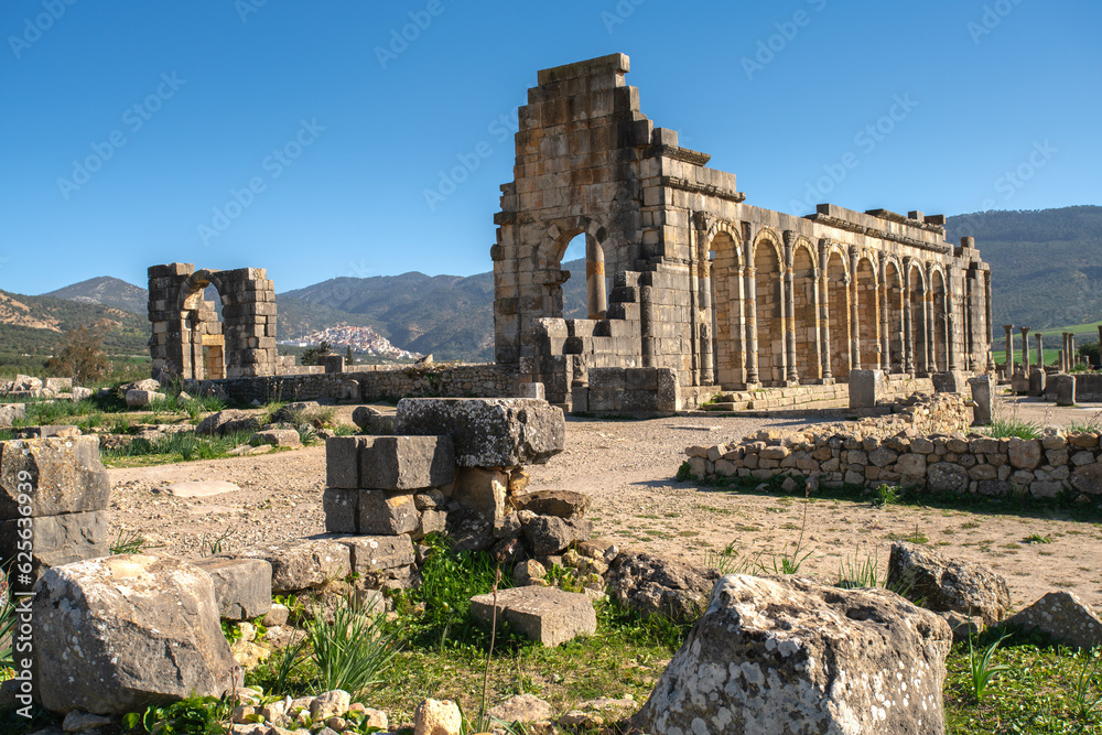 Volubilis ruins, a partly-excavated Berber-Roman city that may have been the capital of the Kingdom of Mauretania, situated near the city of Meknes, Morocco
