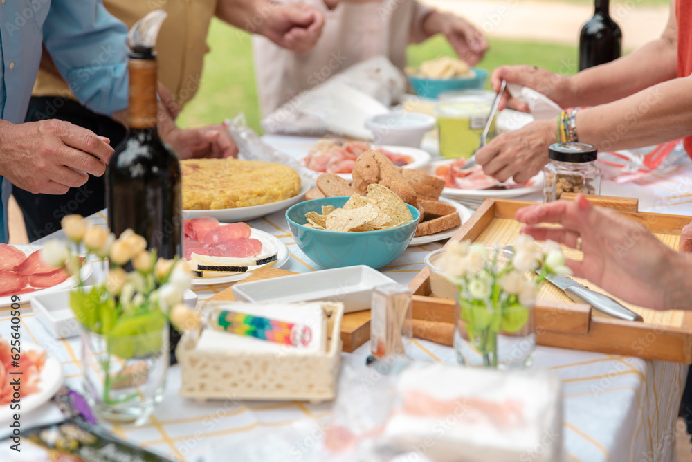 Crop people having picnic in backyard Crop people having picnic in backyard