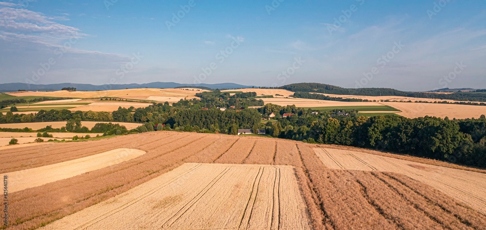 Fototapeta premium Landscape of agricultural fields before harvest in Lower Silesia, Poland