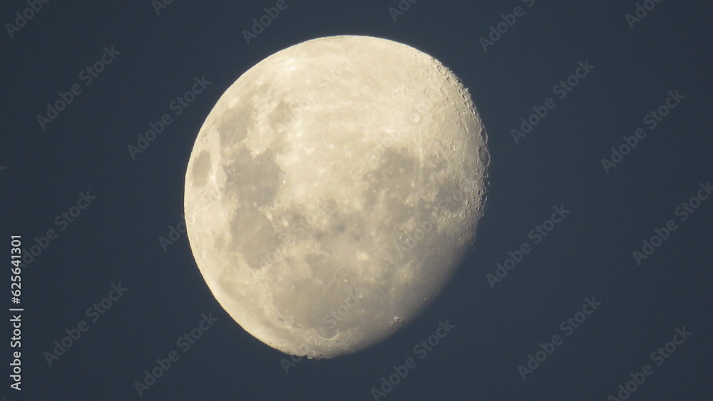 Obraz premium Moon in the night