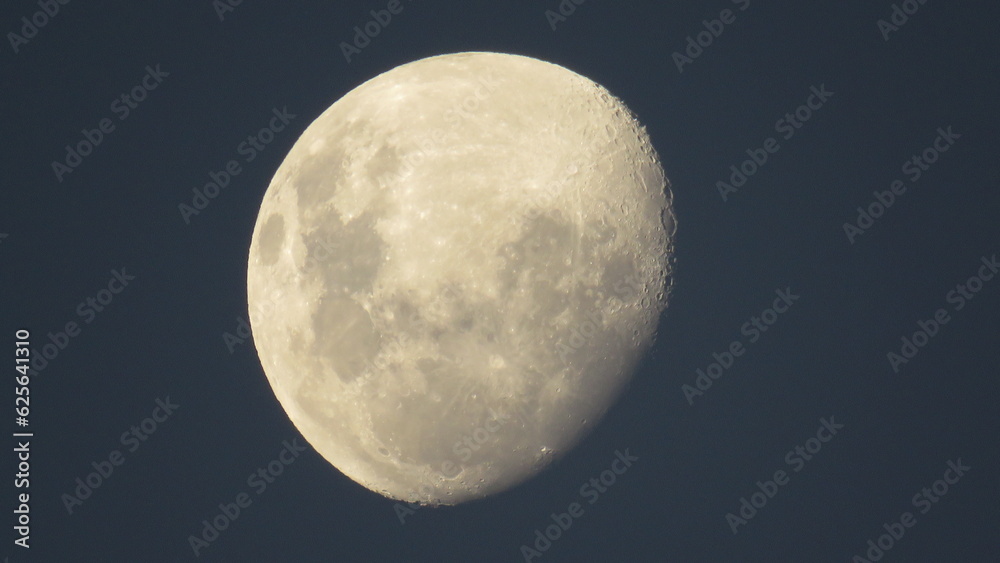 Obraz premium Moon in the night