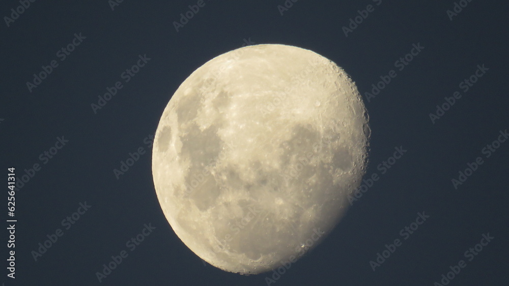 Obraz premium Moon in the night