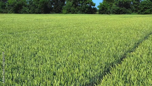 The work of agricultural machinery. Field.