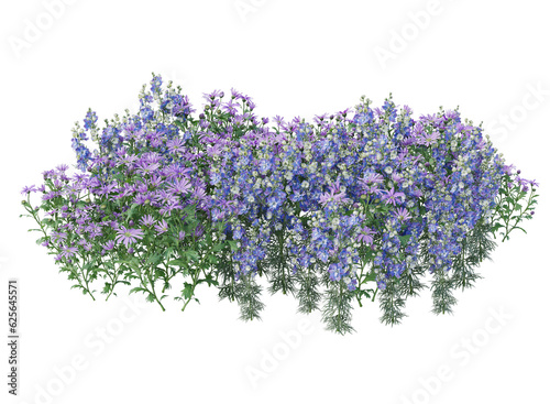 Various types of purple flowers bushes shrub isolated 