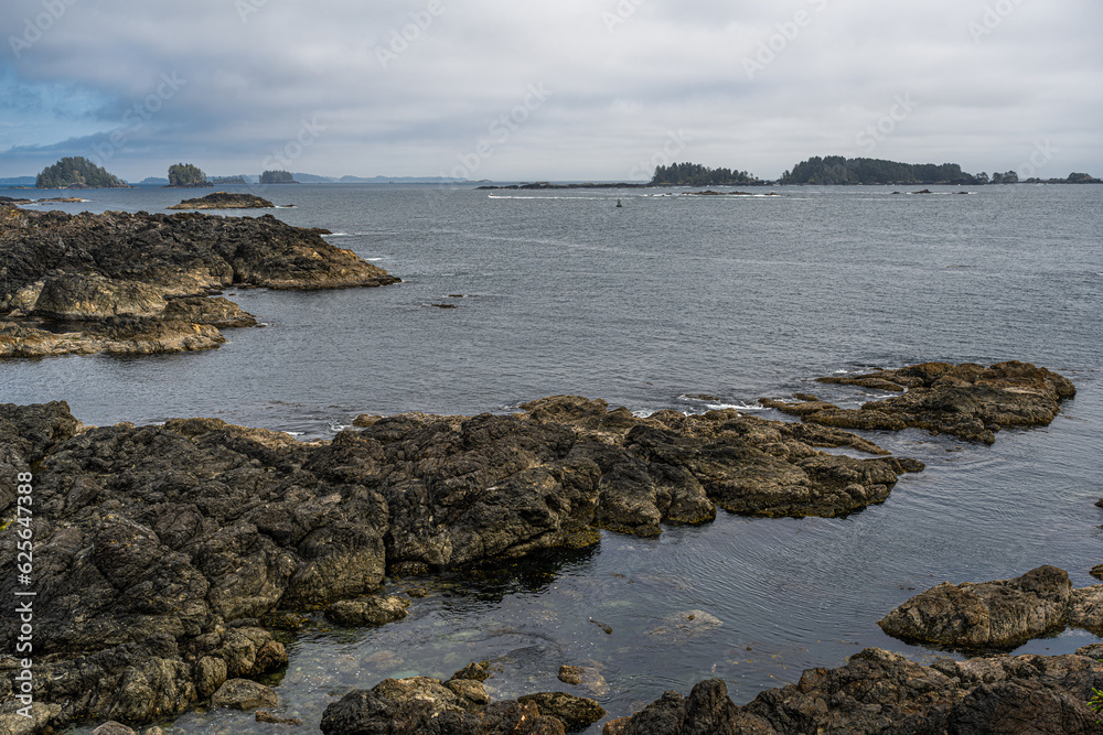 Shoreline on the West Coast of Vancouver Island Shoreline on the West Coast of Vancouver Island