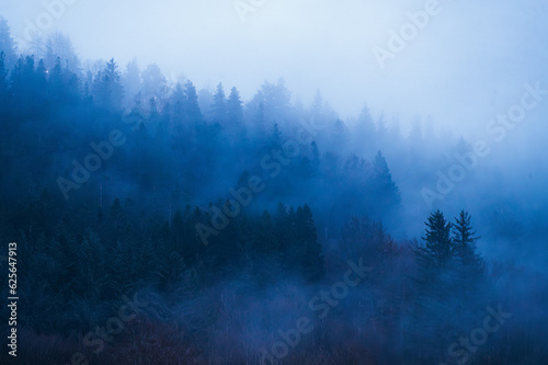 fog in the mountains © GithinTom