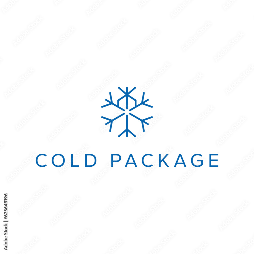Concept snowflake with package.Vector illustration Concept snowflake with package.Vector illustration