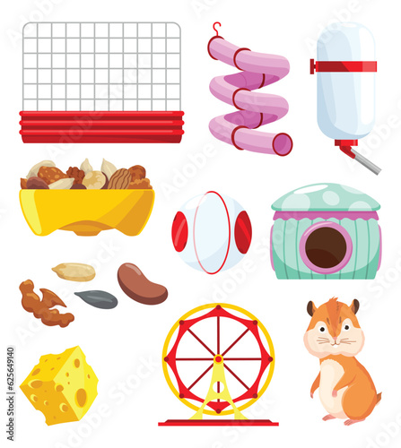 Hamster habitat accessories. Tunnel, exercise wheel, water bottle, food dish, transparent ball. Element of habitat for adorable fat animal. Isolated on white background