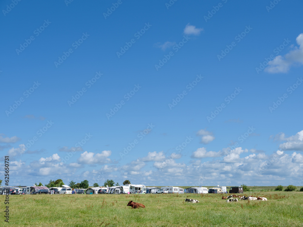 Fototapeta premium Camping in Molkwerum in Friesland