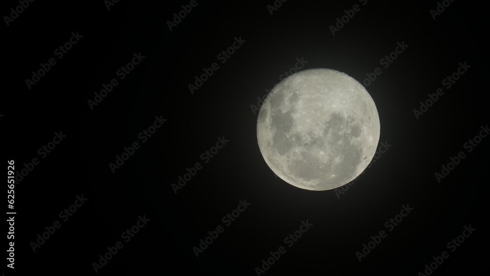 full moon in the night