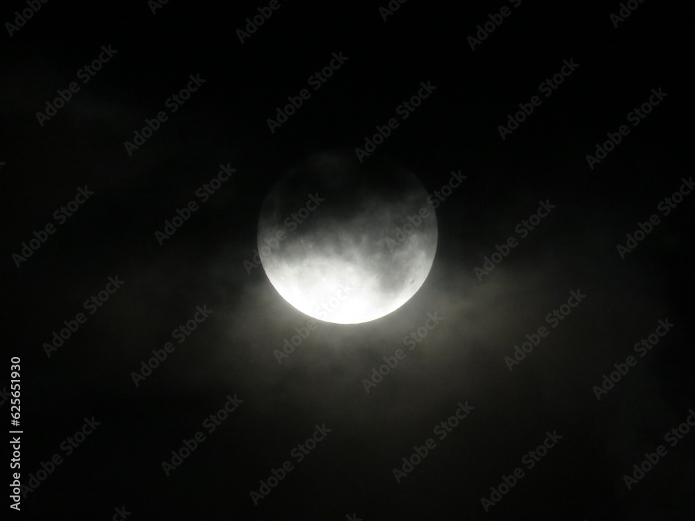 Obraz premium full moon in the night