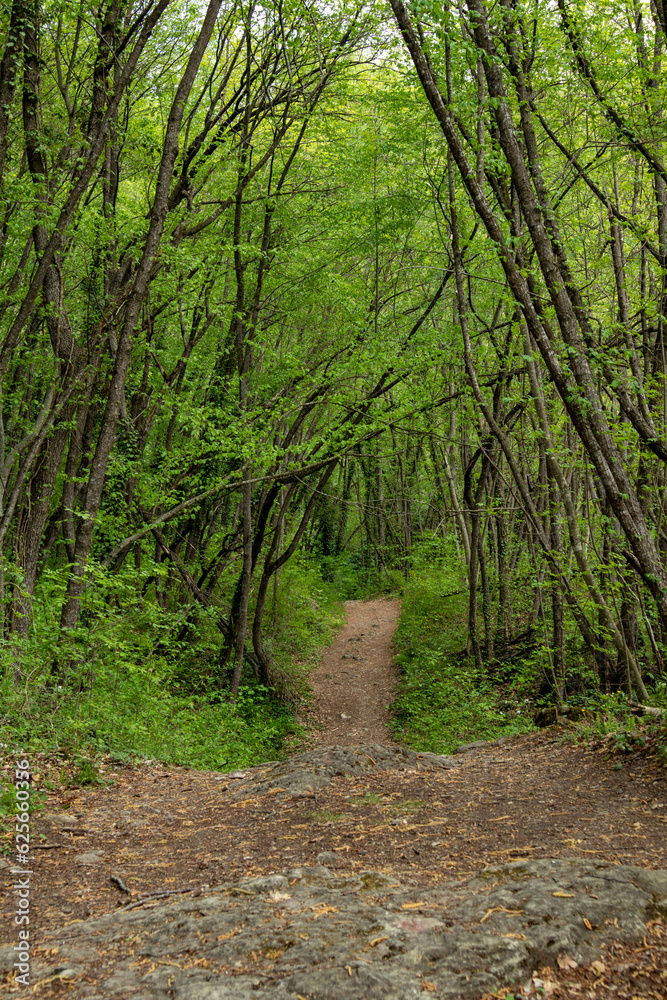 Fototapeta premium Sentiero dei 18 ponticelli, provincia di Modena, Emilia Romagna