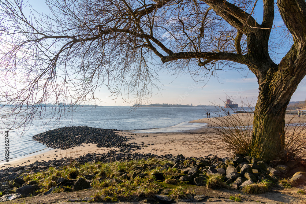 Elbe bei Hamburg mit Elbufer und Baumumrandung