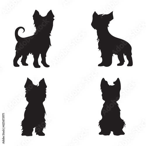 Yorkshire Terrier silhouettes and icons. Black flat color simple elegant Yorkshire Terrier animal vector and illustration.