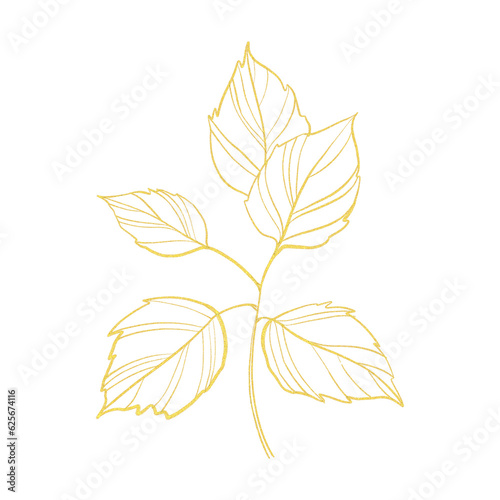 gold line art autumn leaves isolated on white background