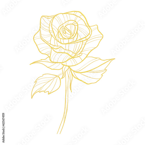 Gold line illustration with rose flower